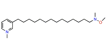 Xestamine G